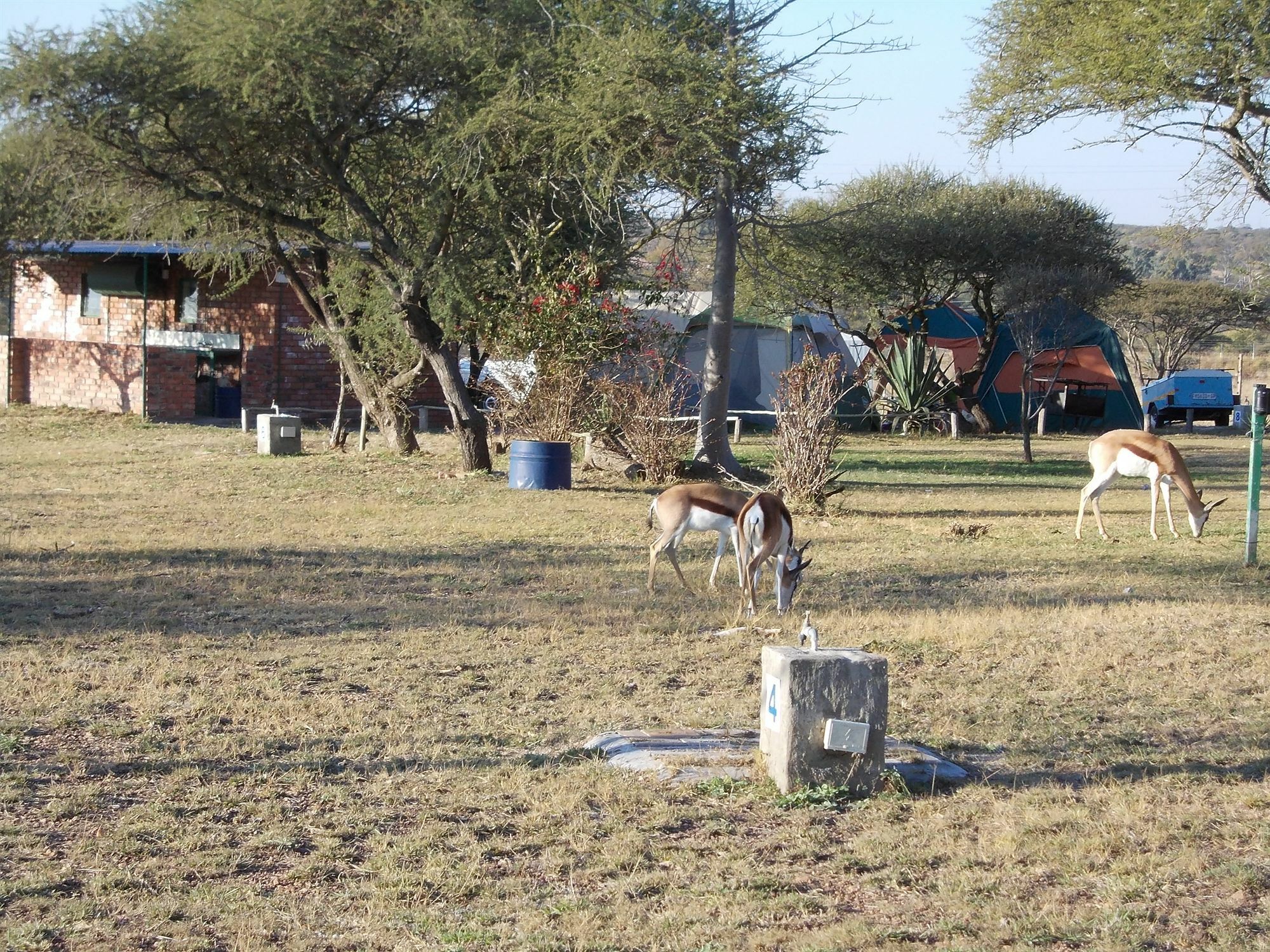 Limpopo Lodge Polokwane Bagian luar foto